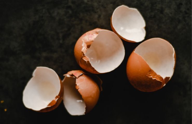 Scarti uova dove buttarli 