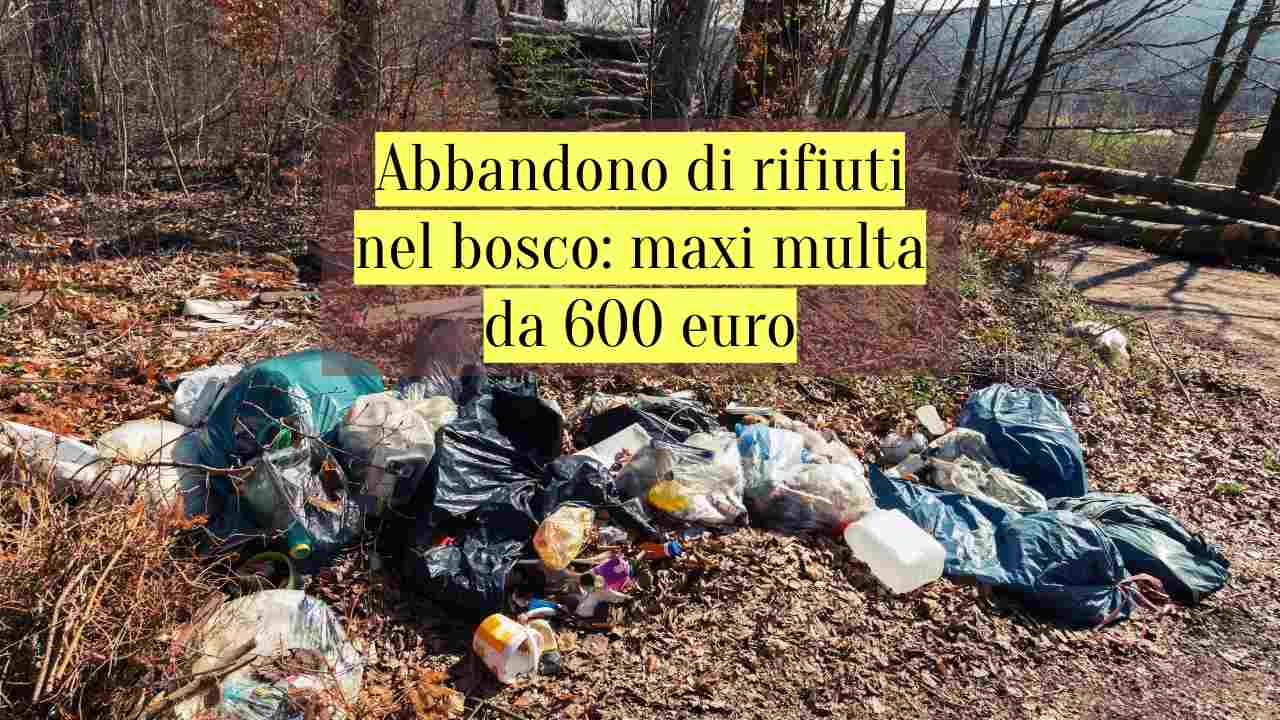 multa smaltimento immondizia