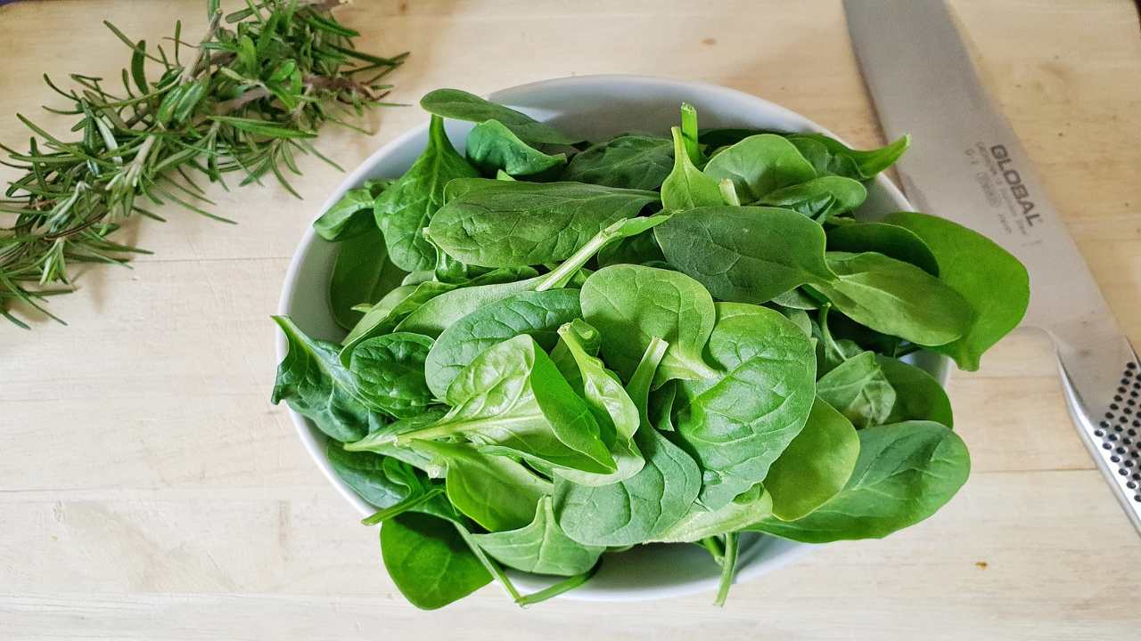 spinaci alimento maggiori quantità ferro