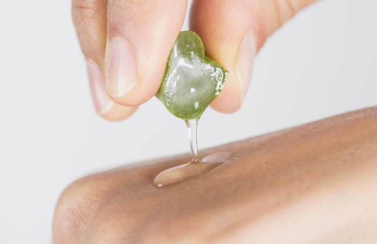 utilizzi gel aloe vera