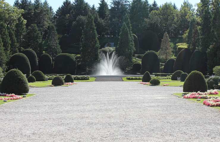 piante tipiche giardino all'italiana