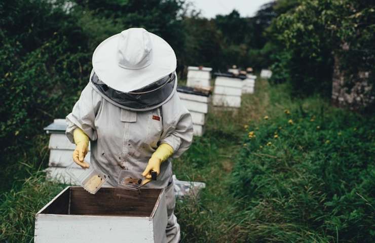 vaccino api approvato primo al mondo stati uniti