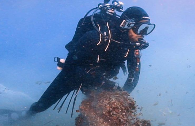 missione euridice due fratelli puliscono mare cefalù