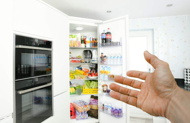 foro all'interno del frigo: a cosa serve 