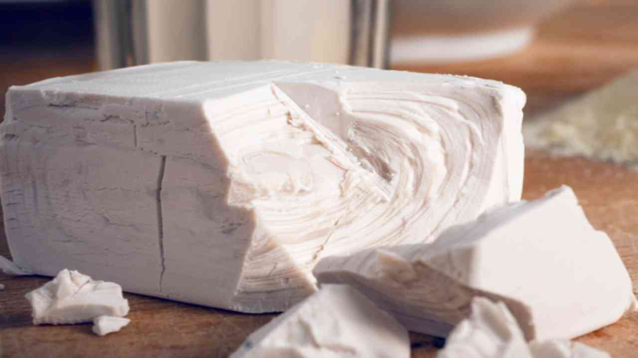 lievito birra panetto