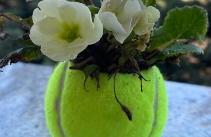 Pallina da tennis vaso fiori
