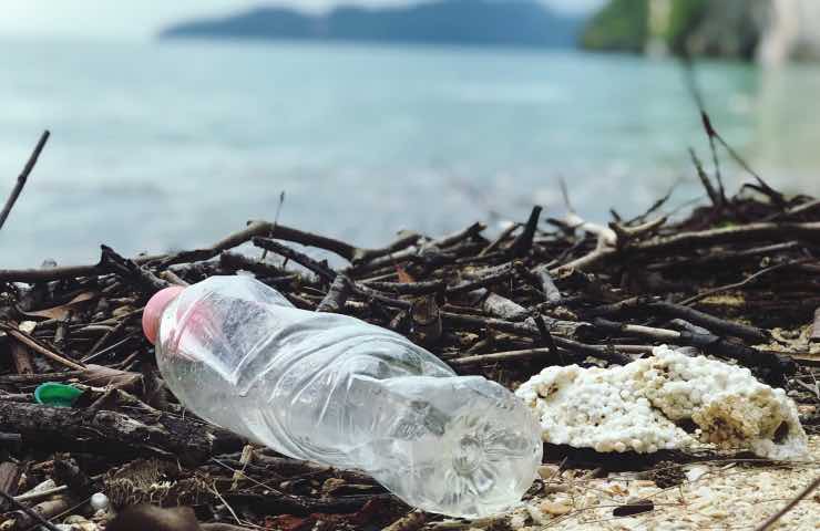 plastica inquinamento scoperta