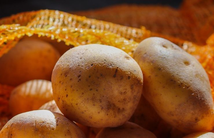 patate piante quale correlazione binomio incredibile