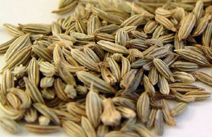 vuoi sgonfiare pancia?benefici semi finocchio
