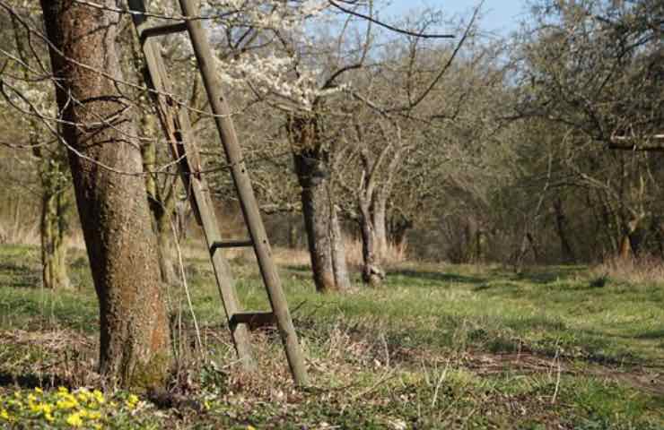 terreno abbandonato legge