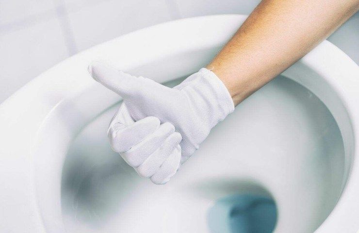 Come pulire il wc usando l'aglio