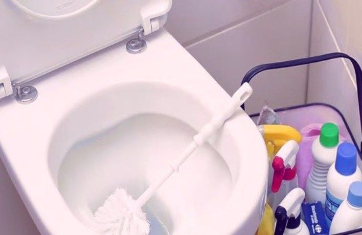 idraulici consigliano metti sale grosso wc lasciati stupire risultato