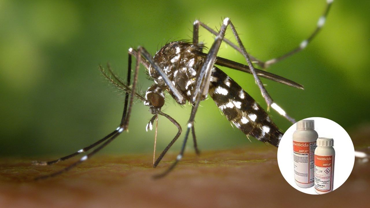 Insecticide-resistant mosquitoes, recent discovery leaves you speechless