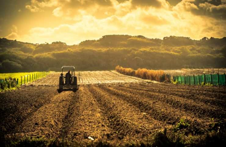 bando Generazione Terra 2023