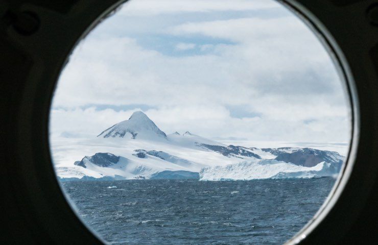 avvistamento animale Antartide