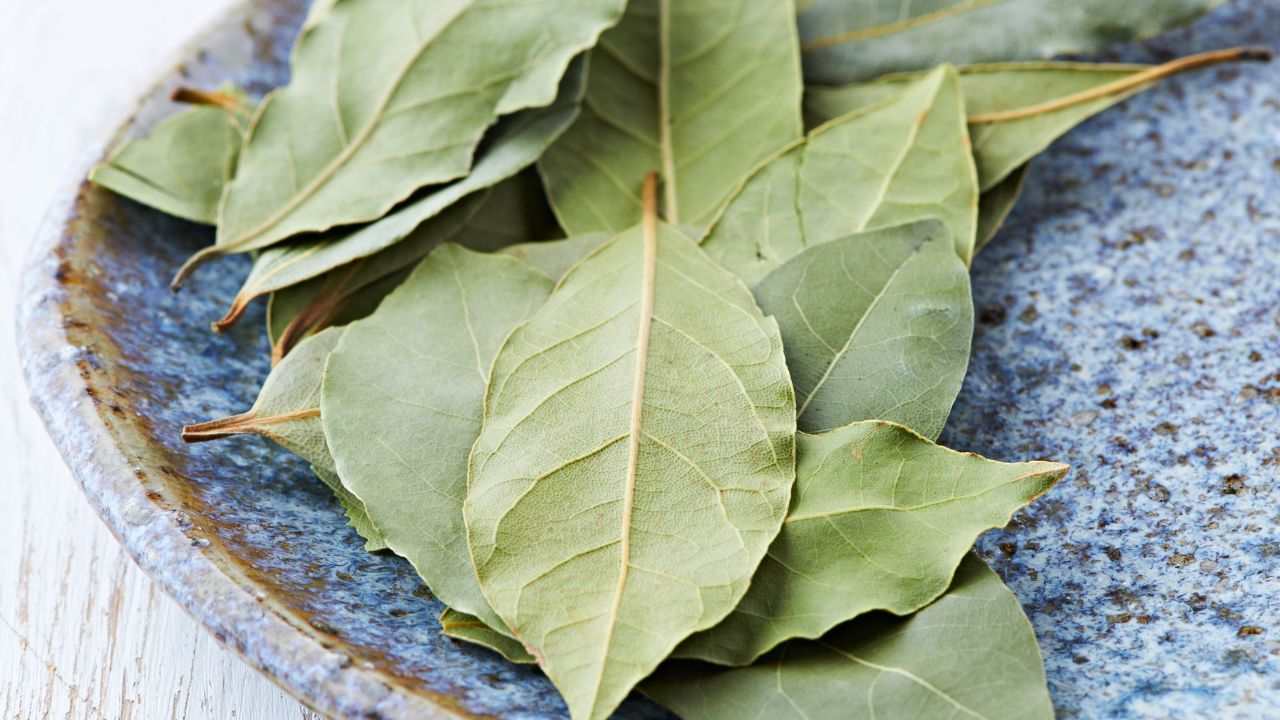 bruciare foglie alloro casa