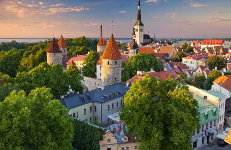 Tallinn capitale verde studio animali 