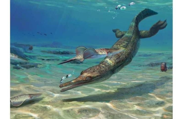 nuova specie fossile simile coccodrillo