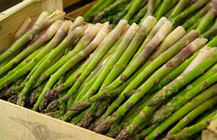 raccolta degli asparagi