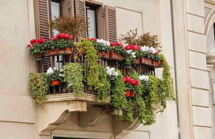 balcone fiori colorati