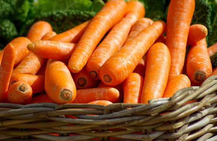 carote verdure natura