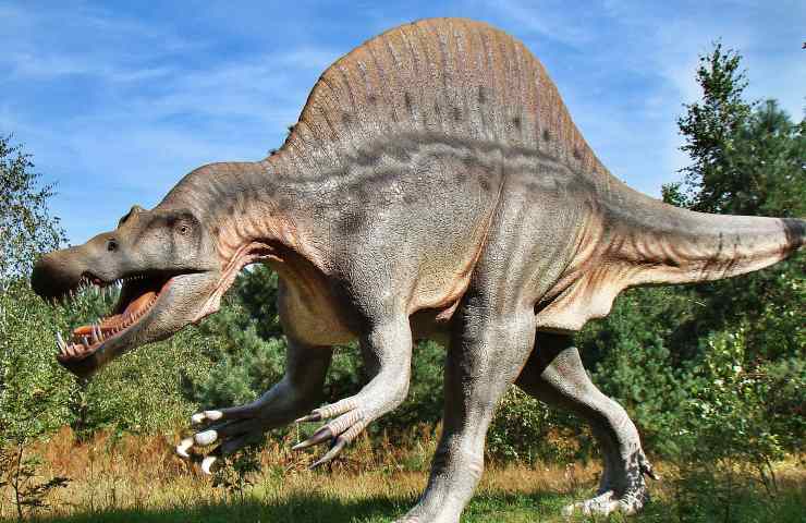 Dinosauro, scoperta, paleontologi, giurassico, dinosauro becco ad anatra