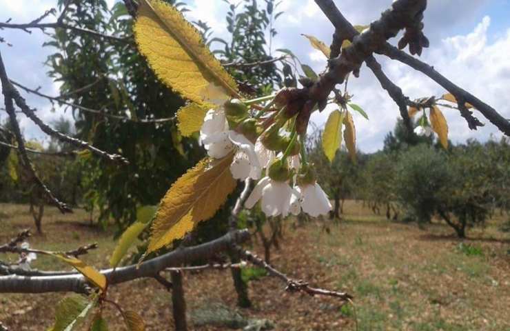 natura tilt cambiamenti clima