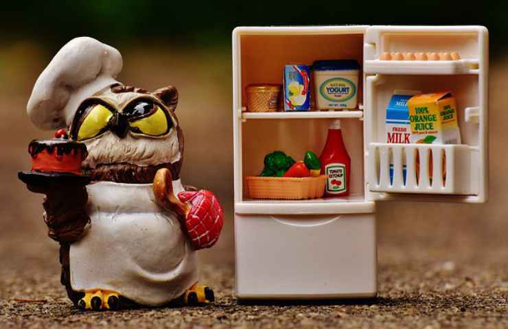 gufo frigo miniatura 