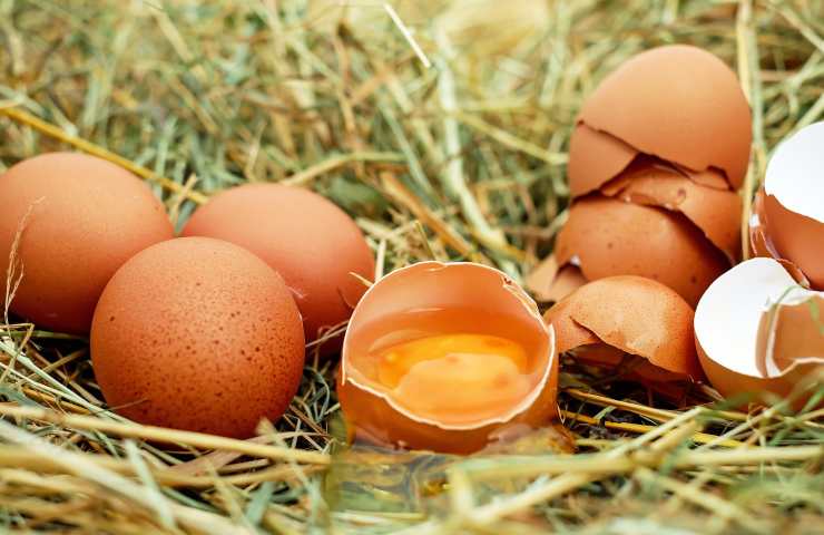 sotterra un uovo in un vaso: il risultato è sorprendente 