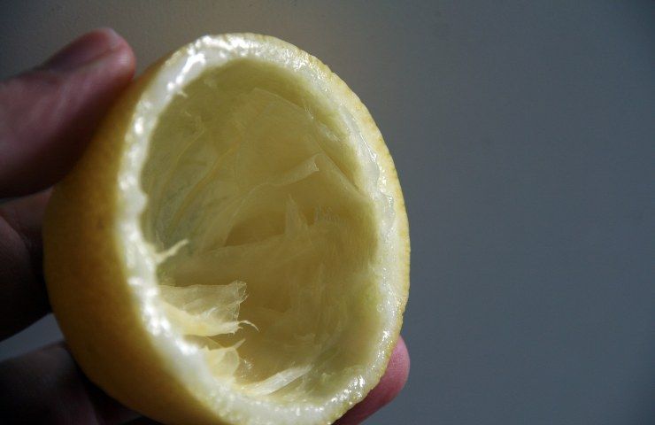 Buccia limone usatela per scacciare le mosche 