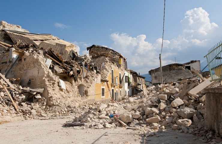 macerie, terremoto in Turchia, salvato un gatto 