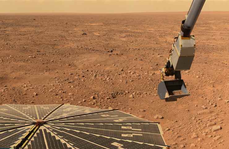 foto di un orso su Marte: sta spopolando sul web 
