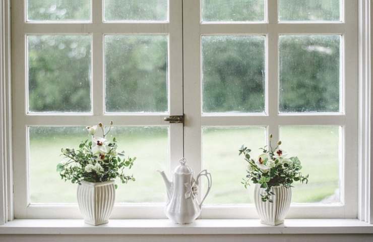 piante e fiori: a ciascuna il suo vaso 