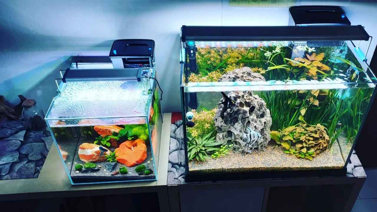 riciclare vecchio acquario