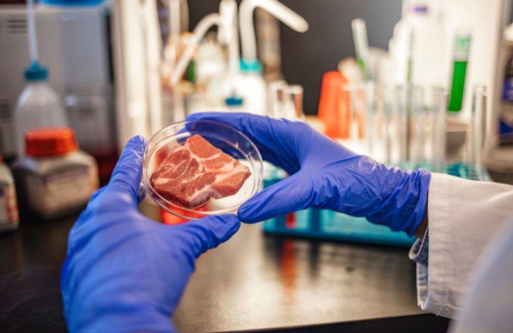 carne sintetica laboratorio