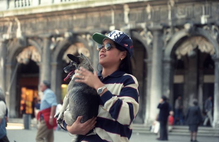 venezia musei dog friendly