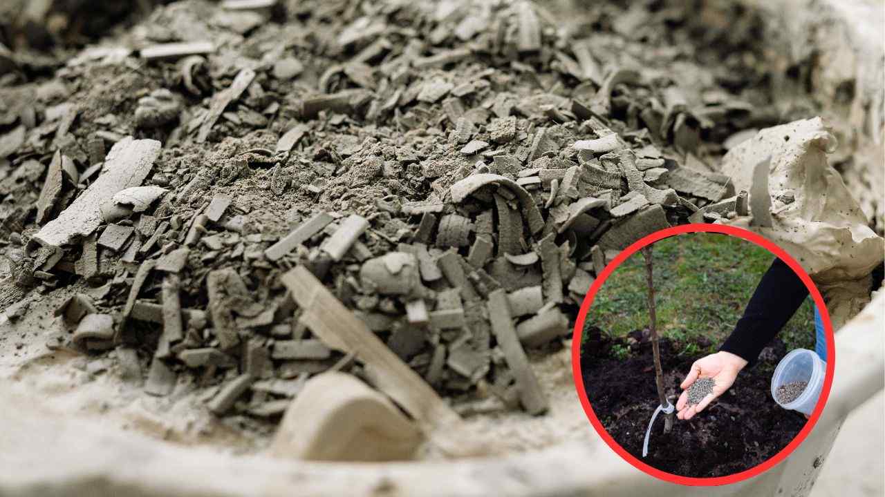 Cenere come concime miracolosa metodo