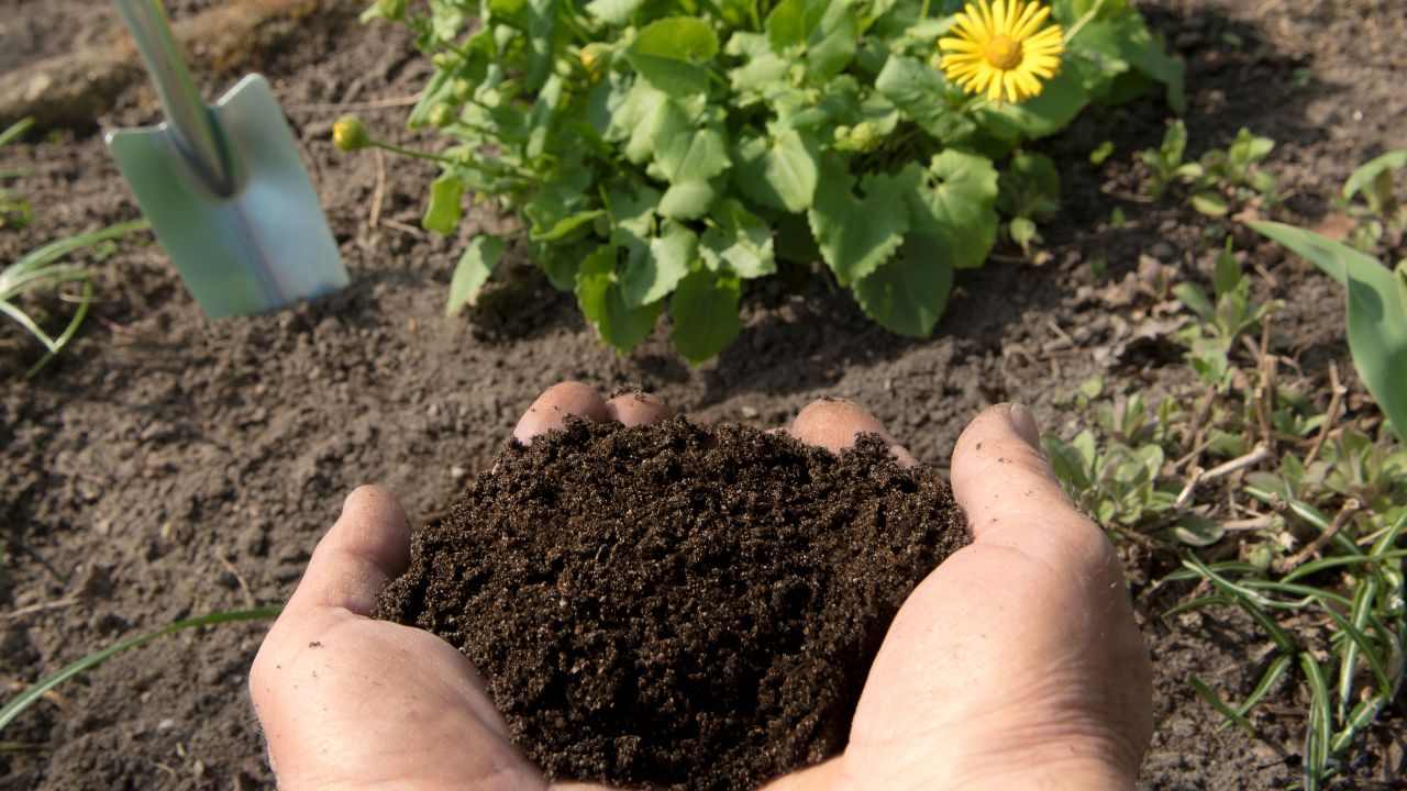 Concime naturale 100% come farlo