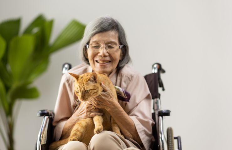 benefici compagnia animali persone anziane