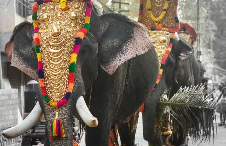 elefante meccanico tempio Kerala