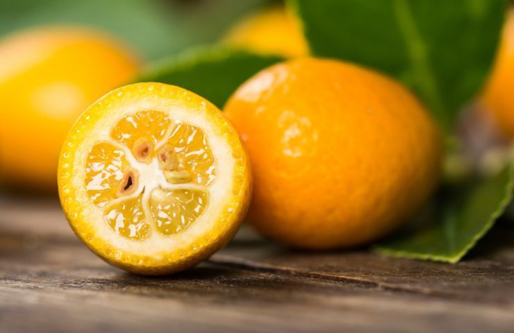 proprietà salutari kumquat mandarino