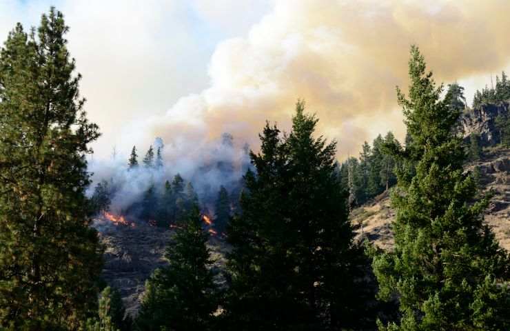 incendio montagne francesi