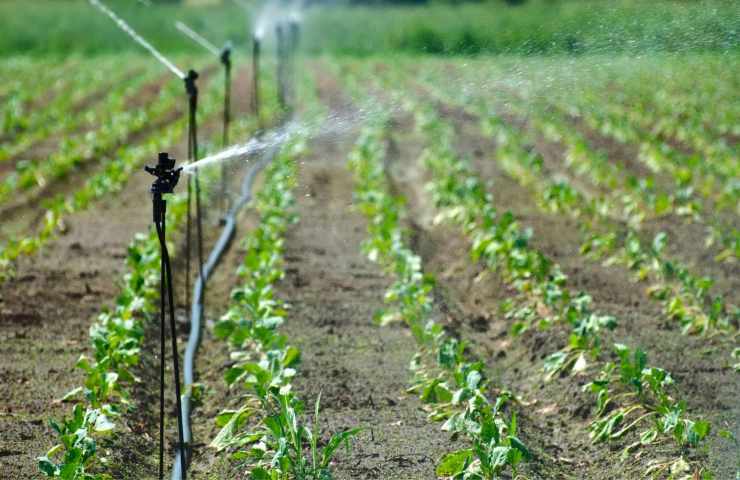 Irrigazione coltivazioni abbattere sprechi 