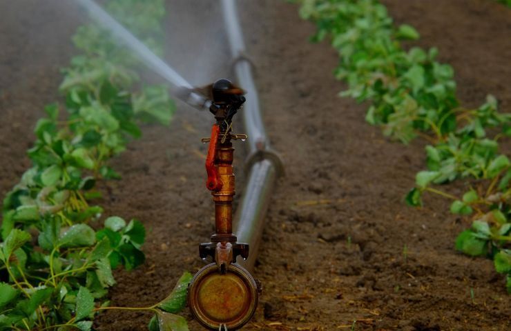 irrigazione campi azzerare sprechi 