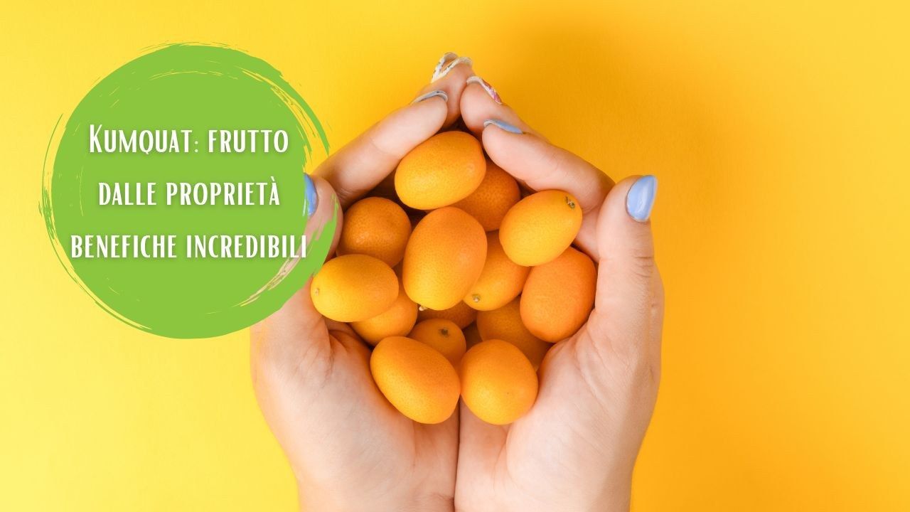 proprietà benefiche frutto Kumquat