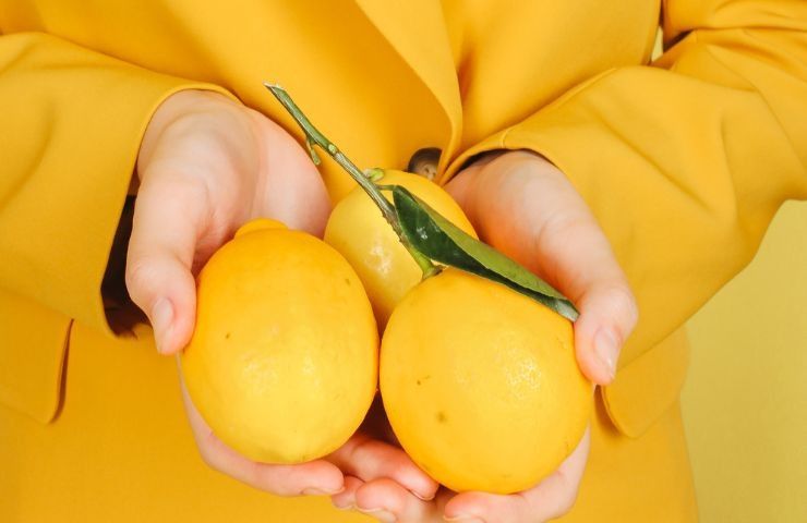 conservazione limone stuzzicadenti