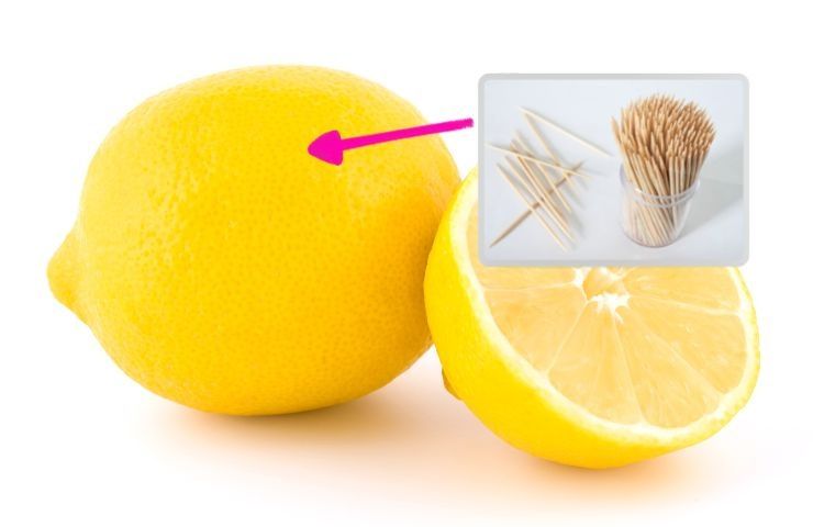 metodo conservare limoni stuzzicadenti