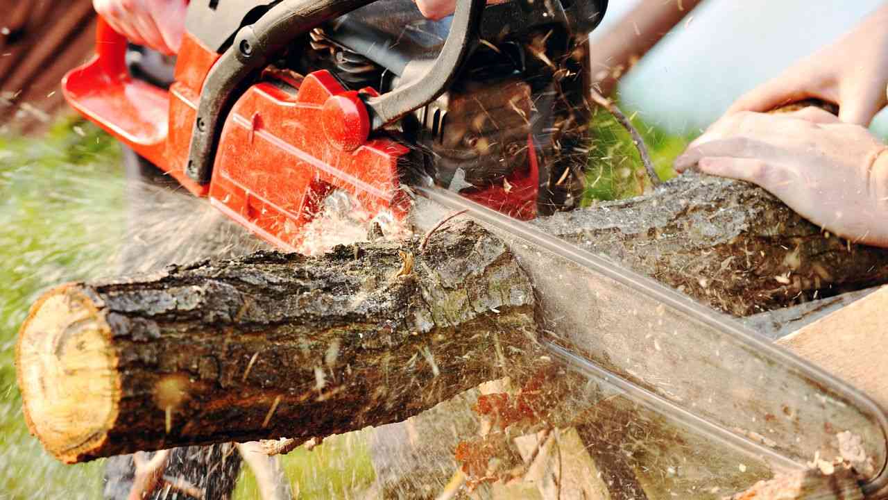 Motosega nascere bambini origine