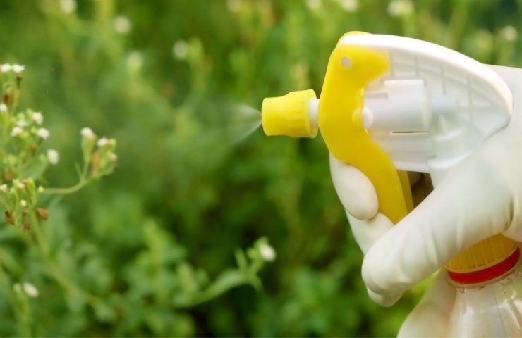 Pesticida fai te indicazioni 