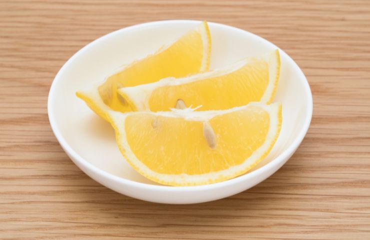 Pezzetti limone metodi conservazione 